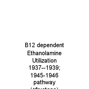 B12 dependent Ethanolamine Utilization 1937--1939; 1945-1946 pathway (↑fructose)
